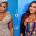 Phaedra Parks Net Worth