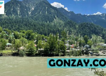 Gonzay.com