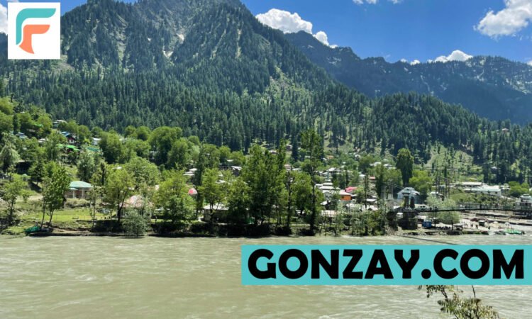 Gonzay.com