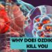 Why Does Ozdikenosis Kill You